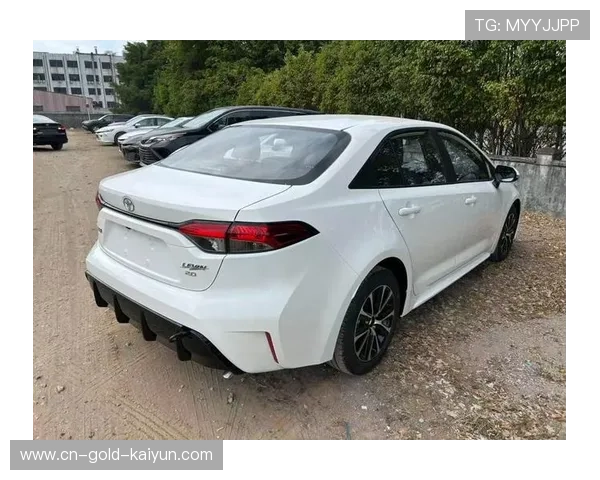 17项配置大升级，全新雷凌硬件大换代